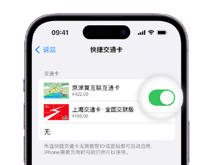 新市apple维修点分享iPhone上更换Apple Pay快捷交通卡手绘卡面 