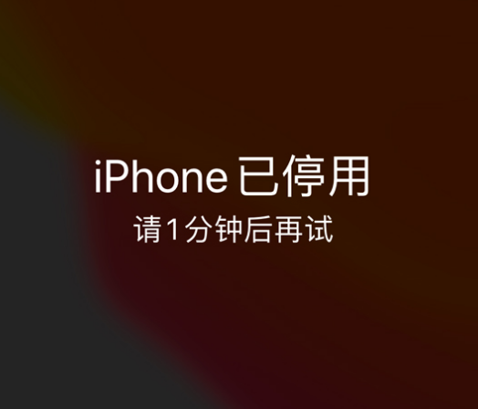 新市苹果手机维修分享:iPhone 显示“不可用”或“已停用”怎么办？还能保留数据吗？ 