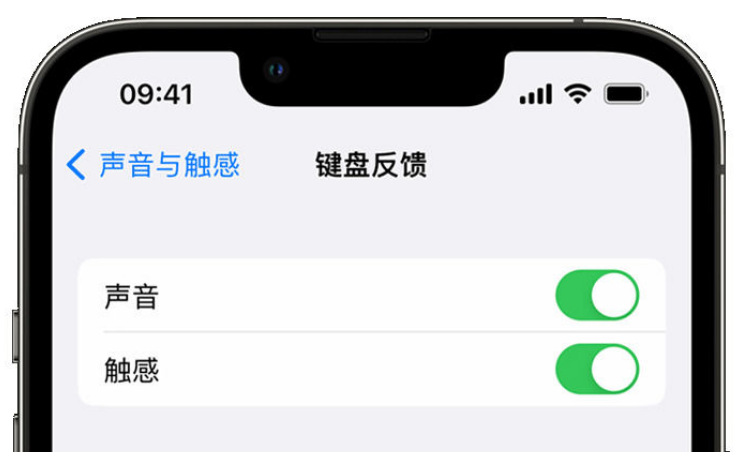 新市苹果手机维修分享iPhone 14触感键盘使用方法 