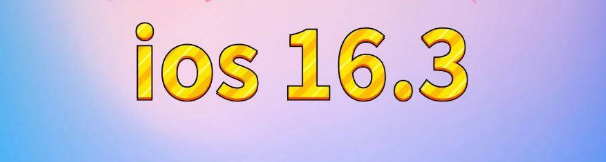 新市苹果服务网点分享苹果iOS16.3升级反馈汇总 