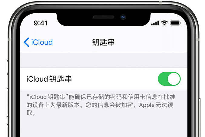 新市苹果手机维修分享在 iPhone 上开启 iCloud 钥匙串之后会储存哪些信息 