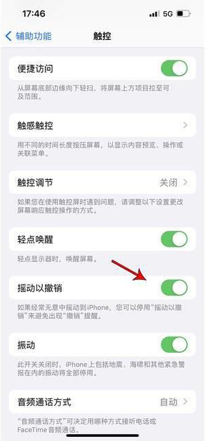 新市苹果手机维修分享iPhone手机如何设置摇一摇删除文字 